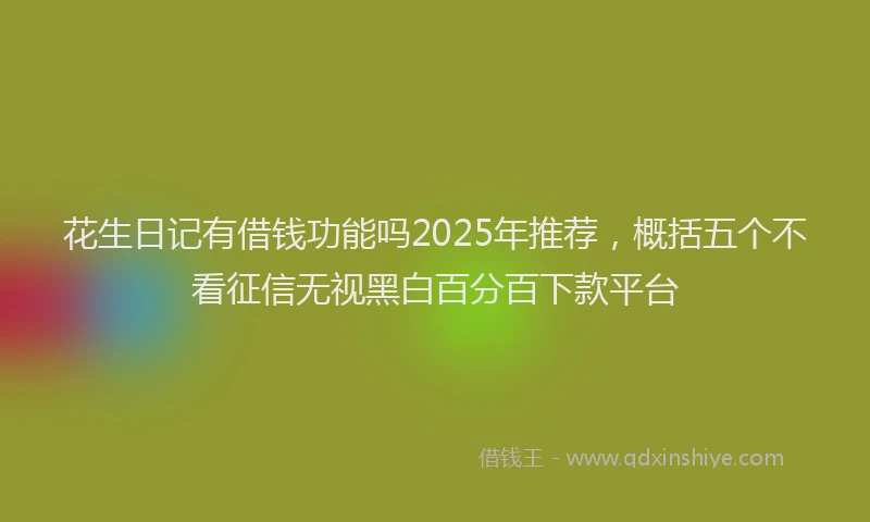 花生日记有借钱功能吗2025年推荐，概括五个不看征信无视黑白百分百下款平台