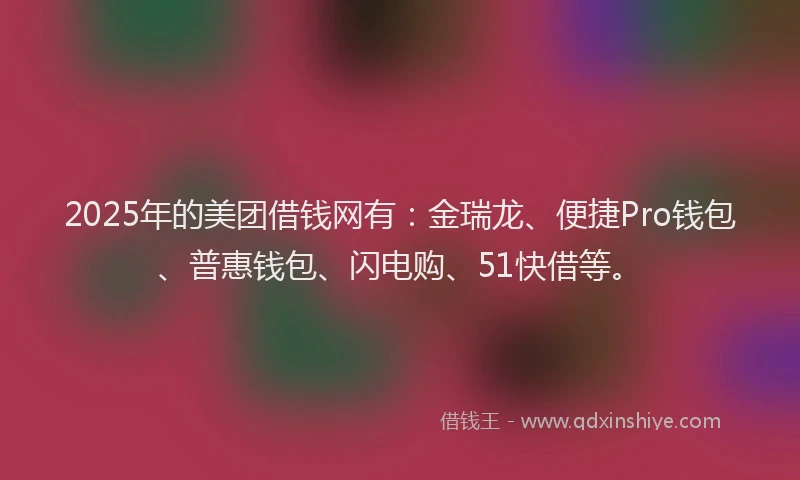 2025年的美团借钱网有：金瑞龙、便捷Pro钱包、普惠钱包、闪电购、51快借等。