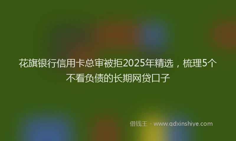 花旗银行信用卡总审被拒2025年精选，梳理5个不看负债的长期网贷口子