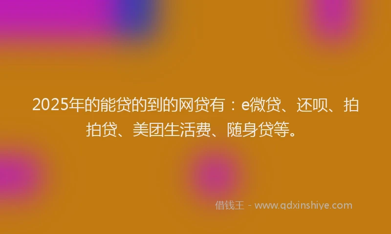 2025年的能贷的到的网贷有：e微贷、还呗、拍拍贷、美团生活费、随身贷等。