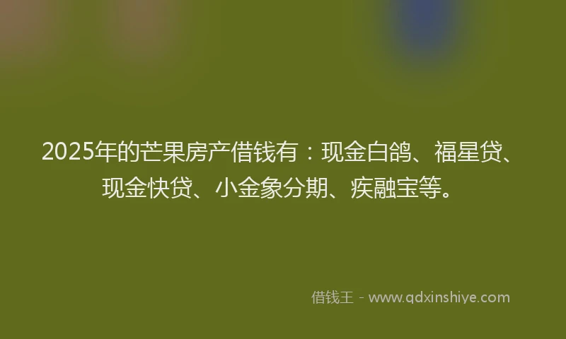 2025年的芒果房产借钱有：现金白鸽、福星贷、现金快贷、小金象分期、疾融宝等。