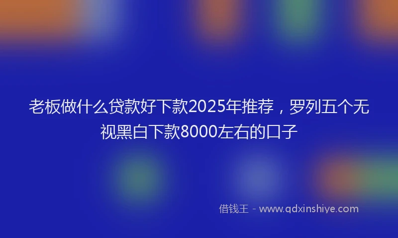 老板做什么贷款好下款2025年推荐，罗列五个无视黑白下款8000左右的口子