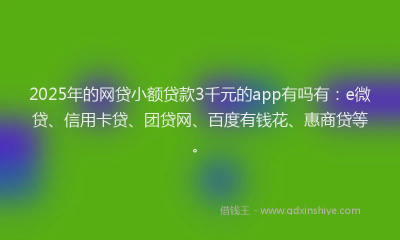 2025年的网贷小额贷款3千元的app有吗有：e微贷、信用卡贷、团贷网、百度有钱花、惠商贷等。