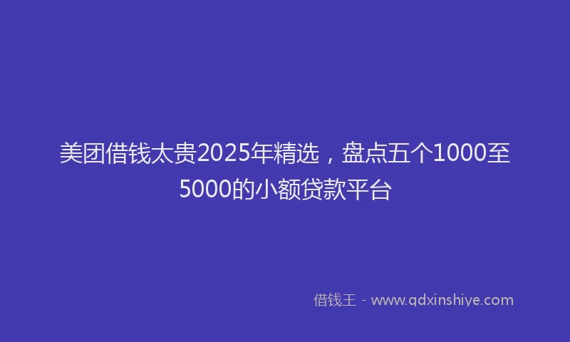 美团借钱太贵2025年精选，盘点五个1000至5000的小额贷款平台