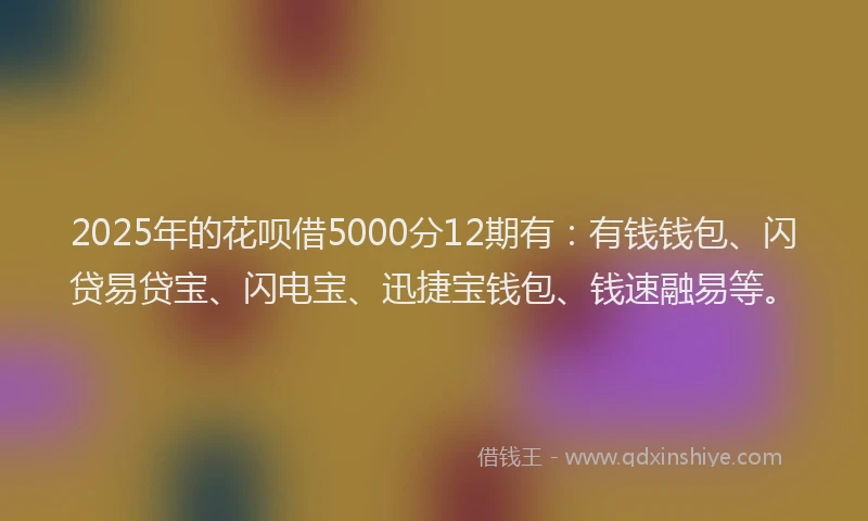 2025年的花呗借5000分12期有：有钱钱包、闪贷易贷宝、闪电宝、迅捷宝钱包、钱速融易等。