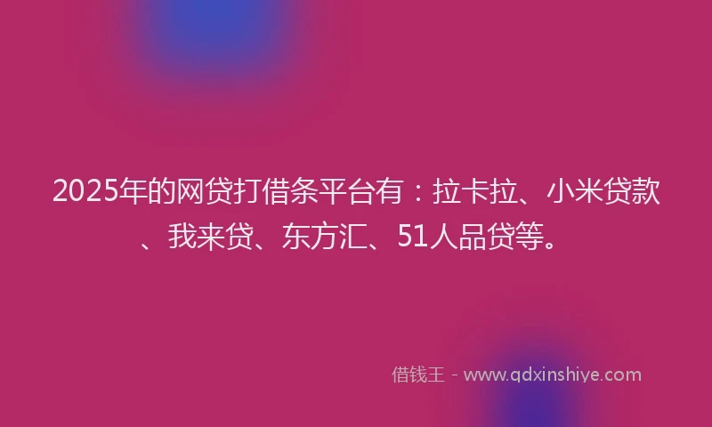 2025年的网贷打借条平台有：拉卡拉、小米贷款、我来贷、东方汇、51人品贷等。