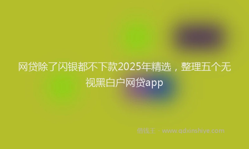 网贷除了闪银都不下款2025年精选，整理五个无视黑白户网贷app