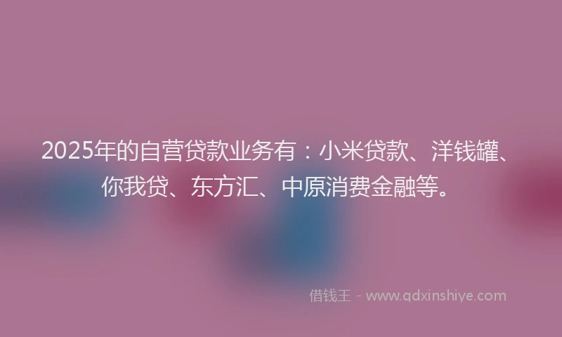 2025年的自营贷款业务有：小米贷款、洋钱罐、你我贷、东方汇、中原消费金融等。