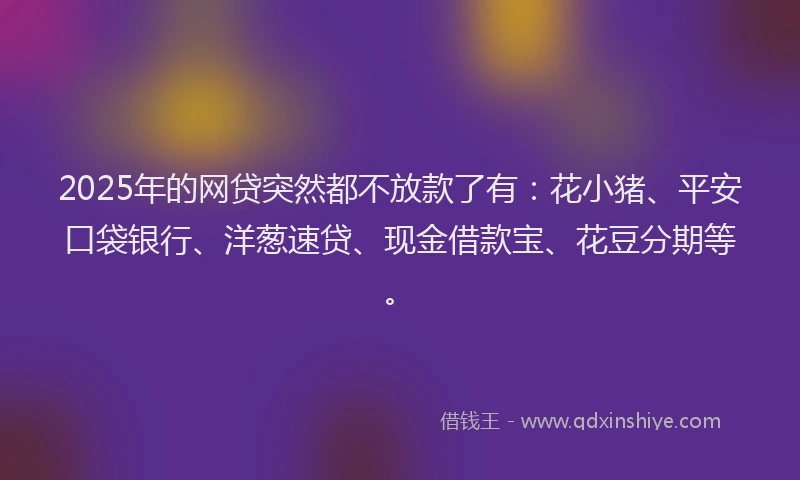 2025年的网贷突然都不放款了有：花小猪、平安口袋银行、洋葱速贷、现金借款宝、花豆分期等。