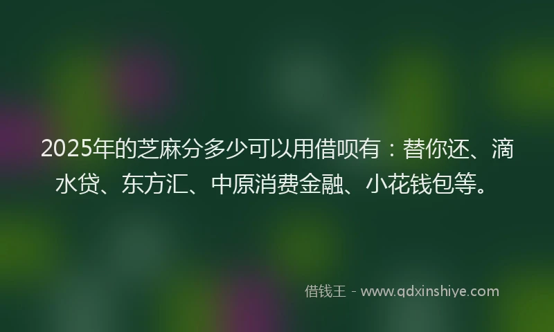 2025年的芝麻分多少可以用借呗有：替你还、滴水贷、东方汇、中原消费金融、小花钱包等。