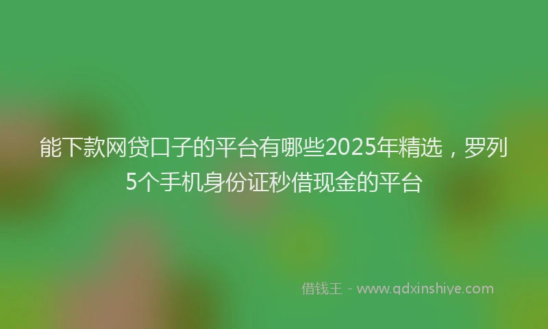能下款网贷口子的平台有哪些2025年精选，罗列5个手机身份证秒借现金的平台