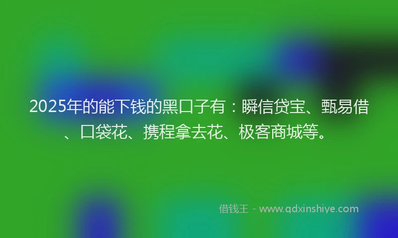 2025年的能下钱的黑口子有：瞬信贷宝、甄易借、口袋花、携程拿去花、极客商城等。