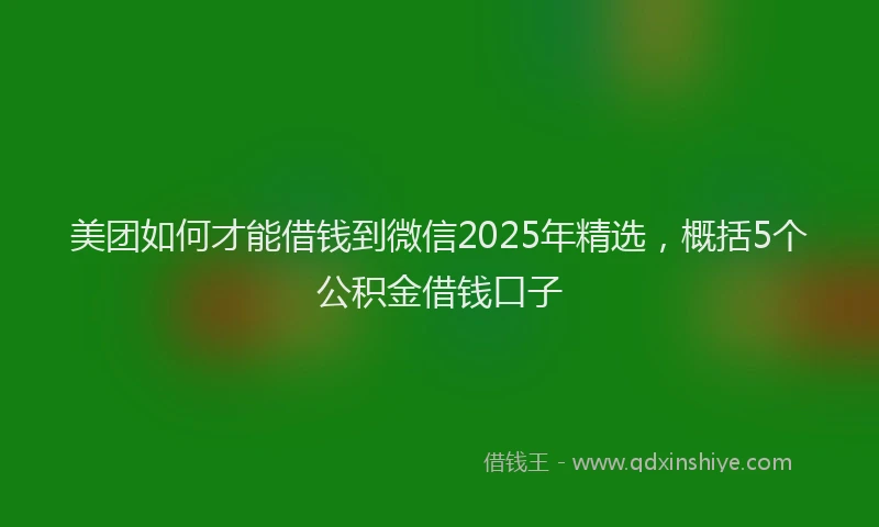 美团如何才能借钱到微信2025年精选，概括5个公积金借钱口子