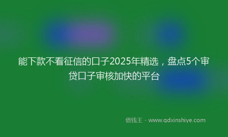 能下款不看征信的口子2025年精选，盘点5个审贷口子审核加快的平台