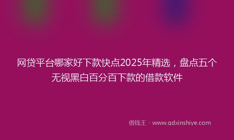 网贷平台哪家好下款快点2025年精选，盘点五个无视黑白百分百下款的借款软件