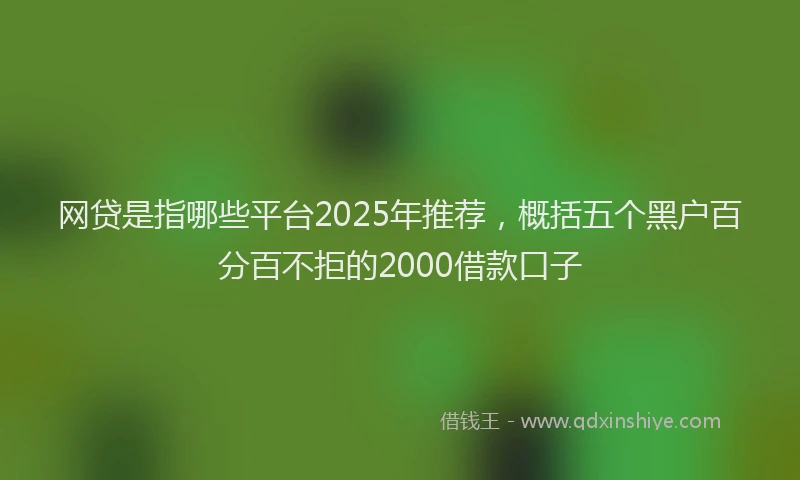 网贷是指哪些平台2025年推荐，概括五个黑户百分百不拒的2000借款口子