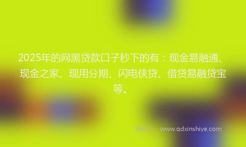 2025年的网黑贷款口子秒下的有：现金易融通、现金之家、现用分期、闪电侠贷、借贷易融贷宝等。