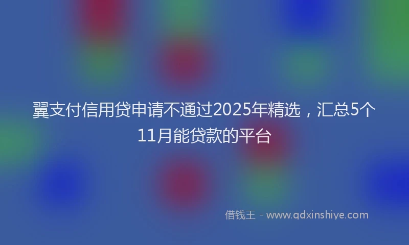 翼支付信用贷申请不通过2025年精选，汇总5个11月能贷款的平台
