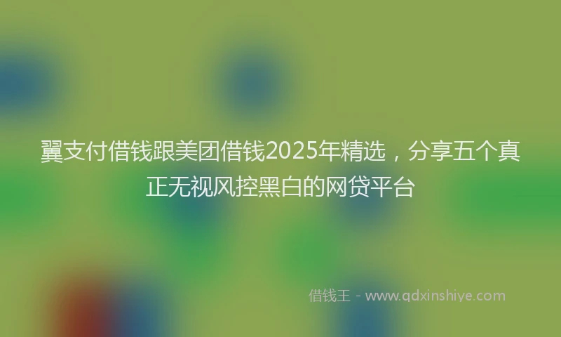 翼支付借钱跟美团借钱2025年精选，分享五个真正无视风控黑白的网贷平台