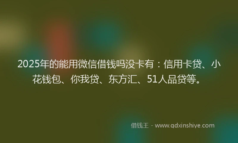 2025年的能用微信借钱吗没卡有：信用卡贷、小花钱包、你我贷、东方汇、51人品贷等。