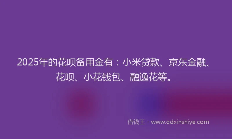 2025年的花呗备用金有：小米贷款、京东金融、花呗、小花钱包、融逸花等。