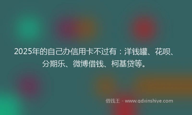2025年的自己办信用卡不过有：洋钱罐、花呗、分期乐、微博借钱、柯基贷等。