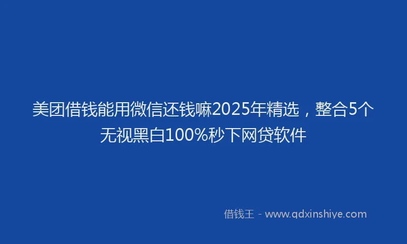 美团借钱能用微信还钱嘛2025年精选，整合5个无视黑白100%秒下网贷软件