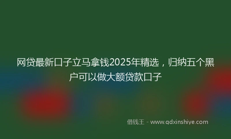 网贷最新口子立马拿钱2025年精选，归纳五个黑户可以做大额贷款口子
