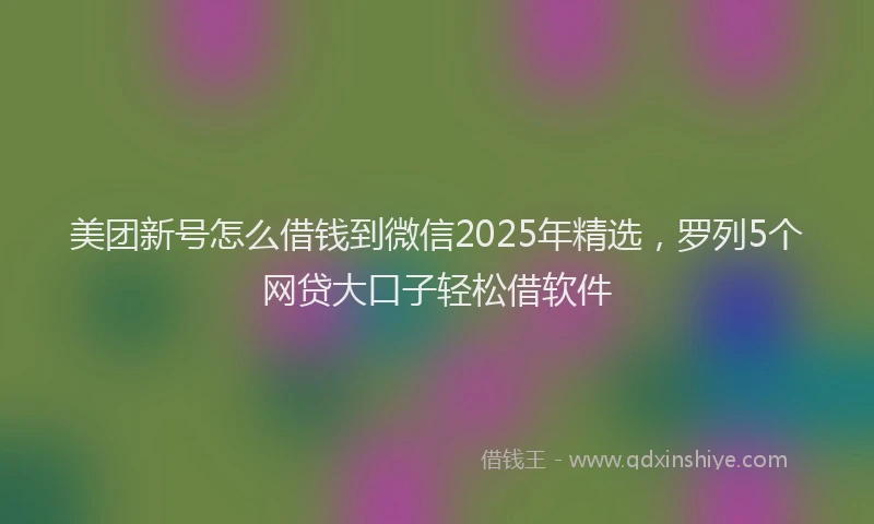 美团新号怎么借钱到微信2025年精选，罗列5个网贷大口子轻松借软件
