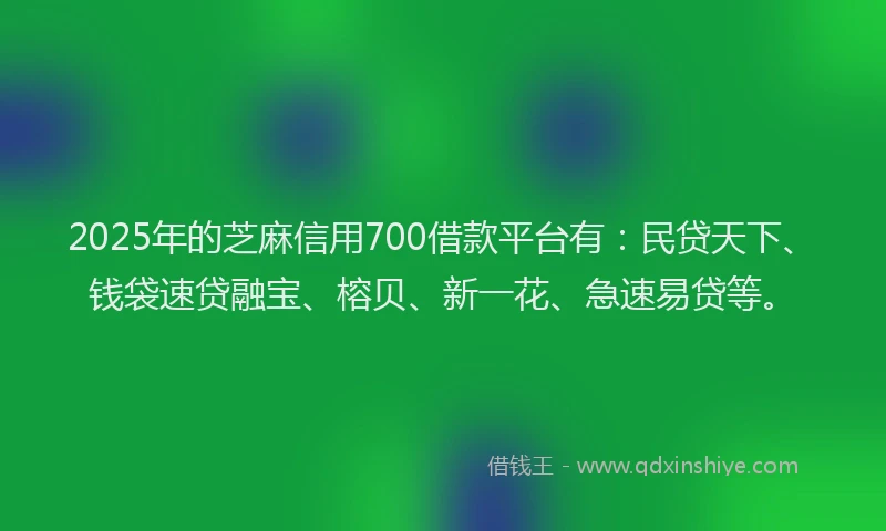 2025年的芝麻信用700借款平台有：民贷天下、钱袋速贷融宝、榕贝、新一花、急速易贷等。