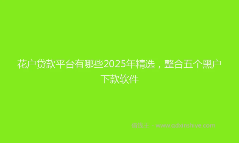 花户贷款平台有哪些2025年精选，整合五个黑户下款软件