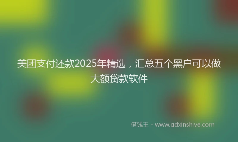 美团支付还款2025年精选，汇总五个黑户可以做大额贷款软件