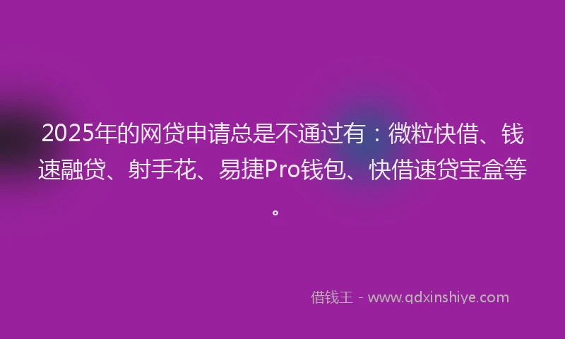 2025年的网贷申请总是不通过有：微粒快借、钱速融贷、射手花、易捷Pro钱包、快借速贷宝盒等。