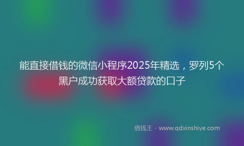 能直接借钱的微信小程序2025年精选，罗列5个黑户成功获取大额贷款的口子