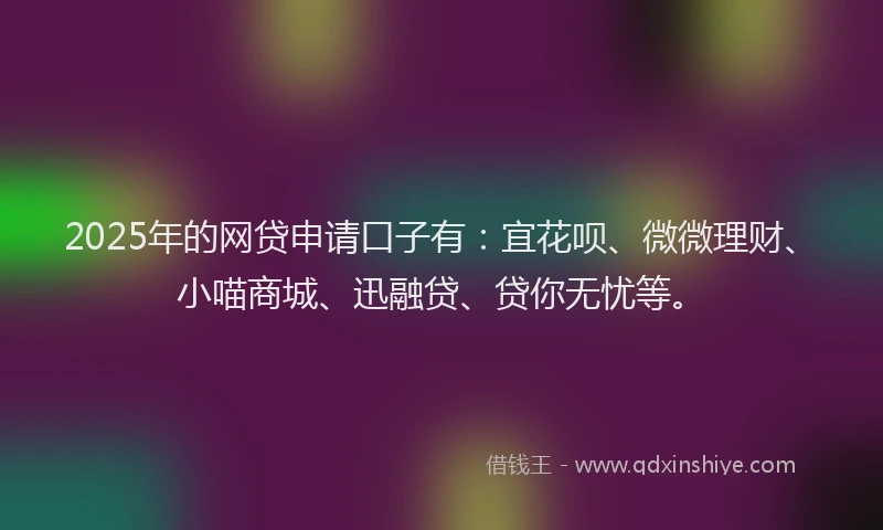 2025年的网贷申请口子有：宜花呗、微微理财、小喵商城、迅融贷、贷你无忧等。