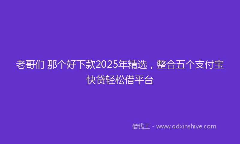 老哥们 那个好下款2025年精选，整合五个支付宝快贷轻松借平台