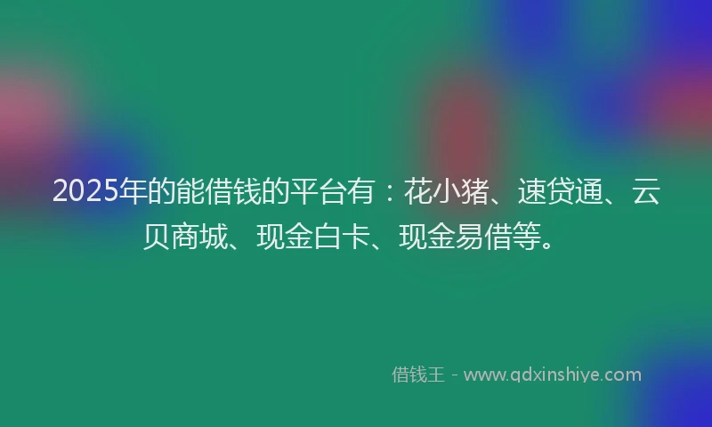 2025年的能借钱的平台有：花小猪、速贷通、云贝商城、现金白卡、现金易借等。