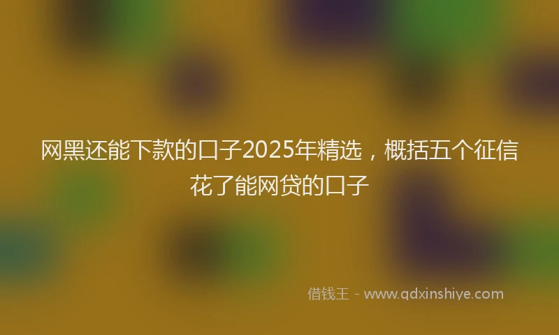 网黑还能下款的口子2025年精选，概括五个征信花了能网贷的口子
