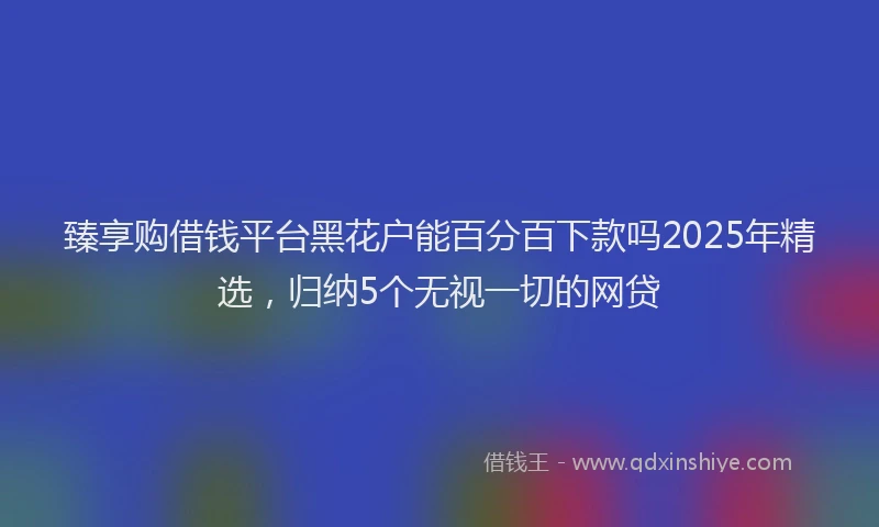 臻享购借钱平台黑花户能百分百下款吗2025年精选，归纳5个无视一切的网贷