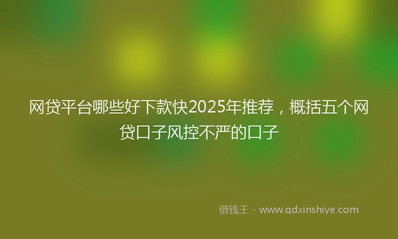 网贷平台哪些好下款快2025年推荐，概括五个网贷口子风控不严的口子