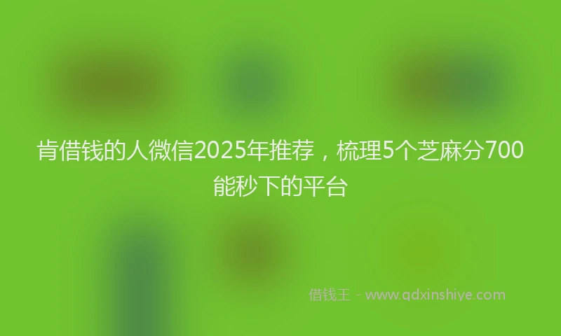 肯借钱的人微信2025年推荐，梳理5个芝麻分700能秒下的平台
