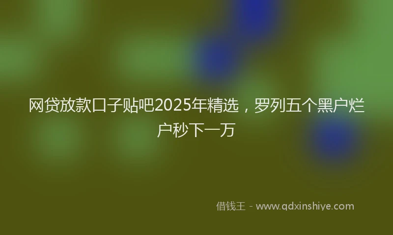 网贷放款口子贴吧2025年精选，罗列五个黑户烂户秒下一万
