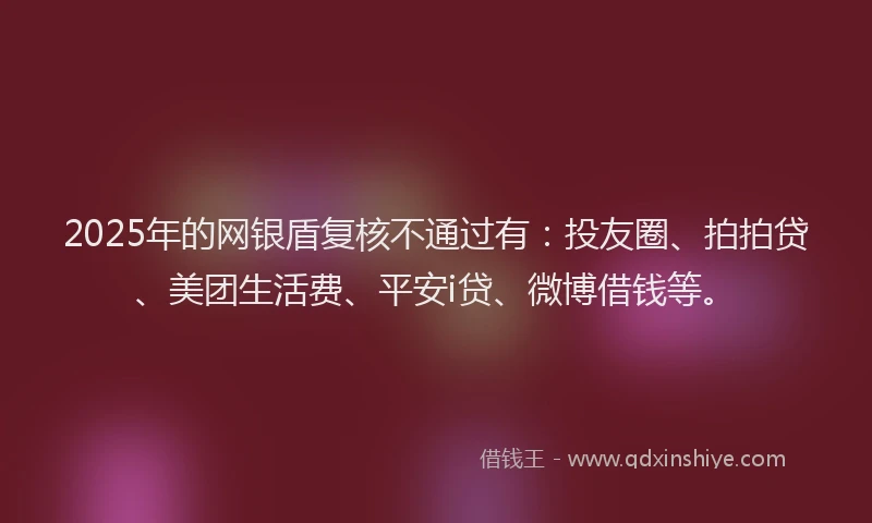 2025年的网银盾复核不通过有：投友圈、拍拍贷、美团生活费、平安i贷、微博借钱等。