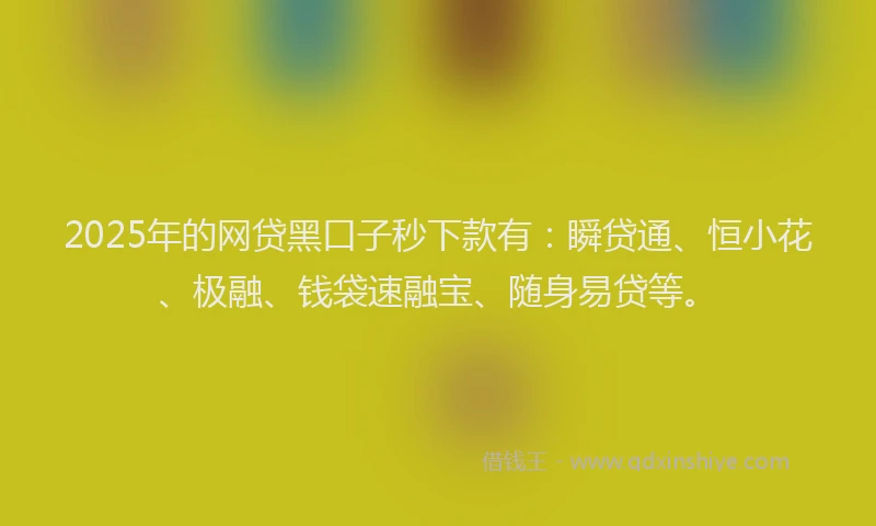 2025年的网贷黑口子秒下款有：瞬贷通、恒小花、极融、钱袋速融宝、随身易贷等。