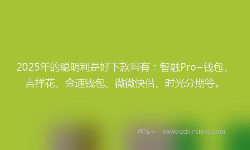 2025年的聪明利是好下款吗有：智融Pro+钱包、吉祥花、金速钱包、微微快借、时光分期等。