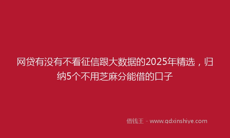 网贷有没有不看征信跟大数据的2025年精选，归纳5个不用芝麻分能借的口子