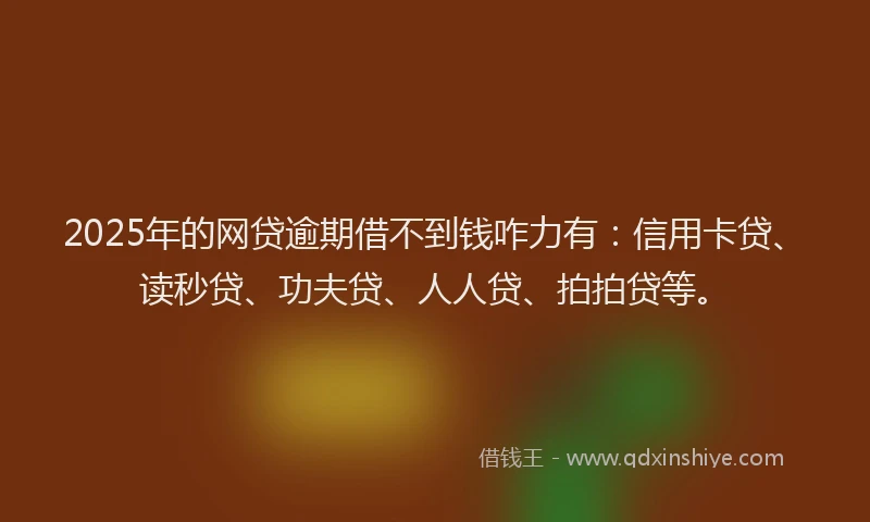 2025年的网贷逾期借不到钱咋力有：信用卡贷、读秒贷、功夫贷、人人贷、拍拍贷等。
