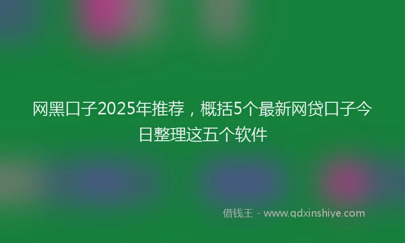 网黑口子2025年推荐，概括5个最新网贷口子今日整理这五个软件