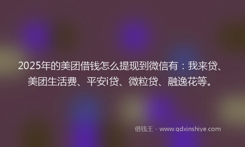 2025年的美团借钱怎么提现到微信有：我来贷、美团生活费、平安i贷、微粒贷、融逸花等。