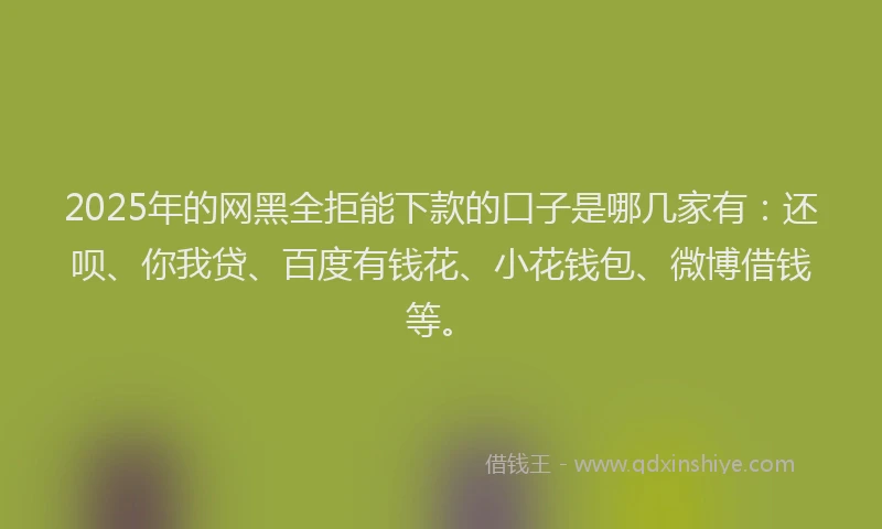 2025年的网黑全拒能下款的口子是哪几家有：还呗、你我贷、百度有钱花、小花钱包、微博借钱等。